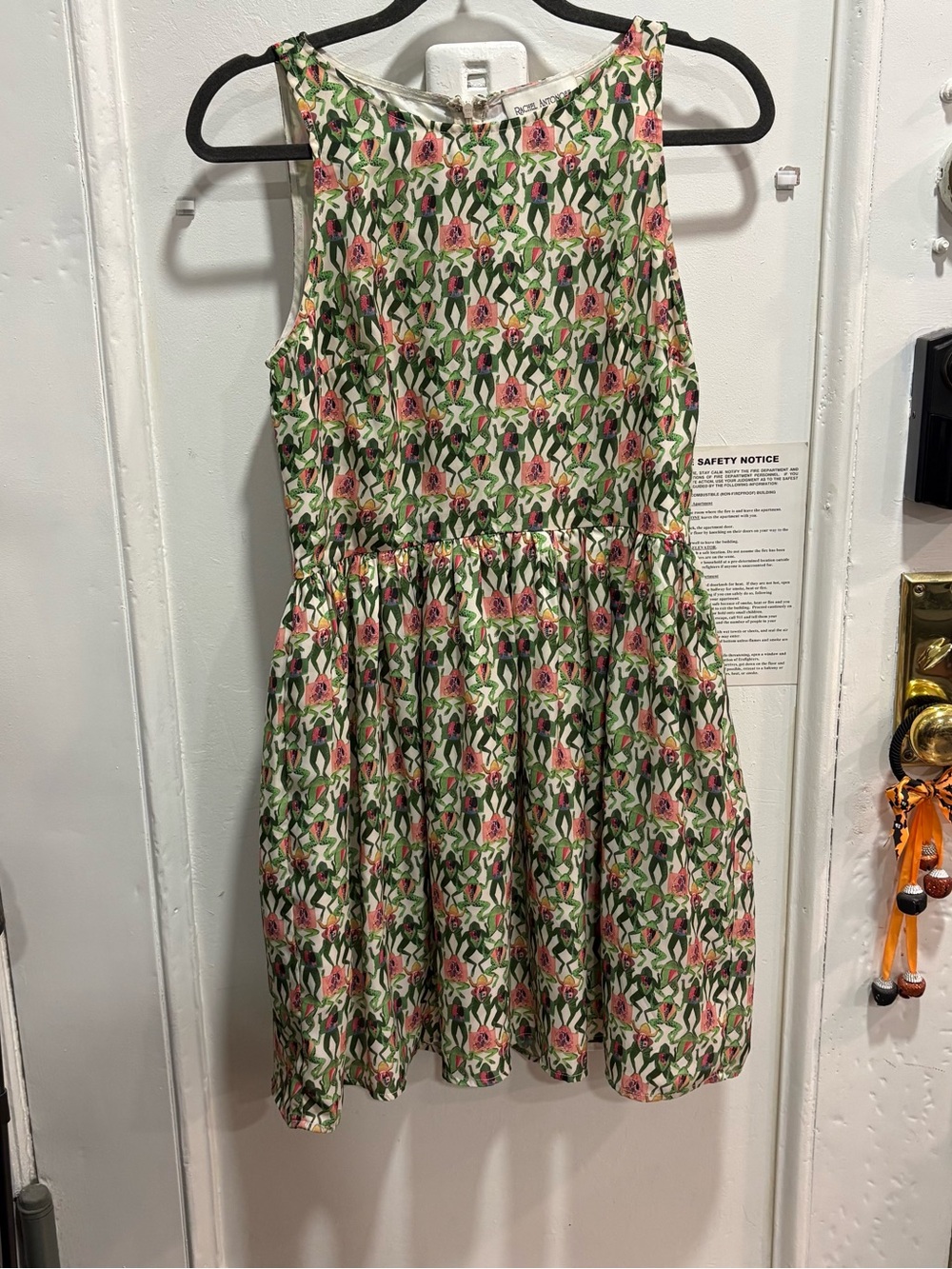 Rachel Antonoff Frog Dress
